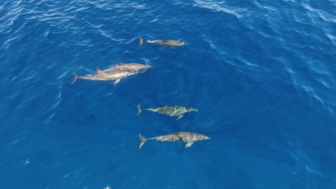 فندق White Tern Maldives ماميغيلي المظهر الخارجي الصورة